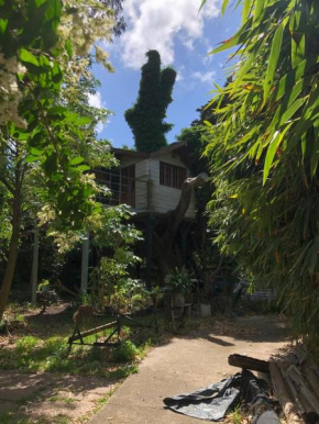 casa del arbol